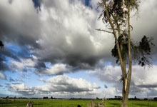 爱游戏体育-内马尔新星表现优异表现突出，掘金前途光明！